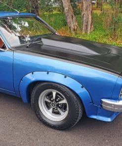 Blue Holden Torana GTR paint by numbers