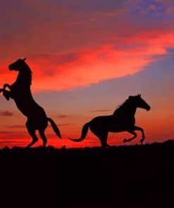 Two Horses At Sunset paint by numbers