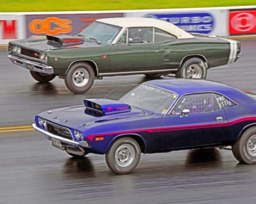 Muscle Cars Racing paint by numbers
