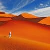 A Person Walking The Sahara paint by numbers