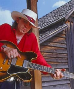 SRV In A Red Shirt paint by numbers