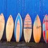 Surf Boards On A Blue Wall paint by numbers