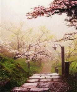 Japanese Cherry Blossom Garden paint by numbers