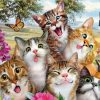 Funny Cats Whit Butterflies paint by numbers
