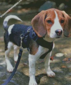 Beagle dog diamond paintings