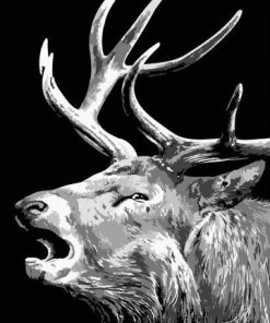 Black And White Elk paint by numbers