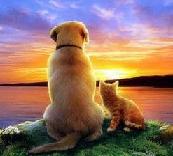 Cat and Dog Watching The Sunset Paint by numbers