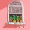 Cute Window With Plants