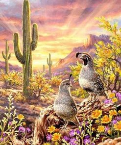 Birds in Desert paint by numbers