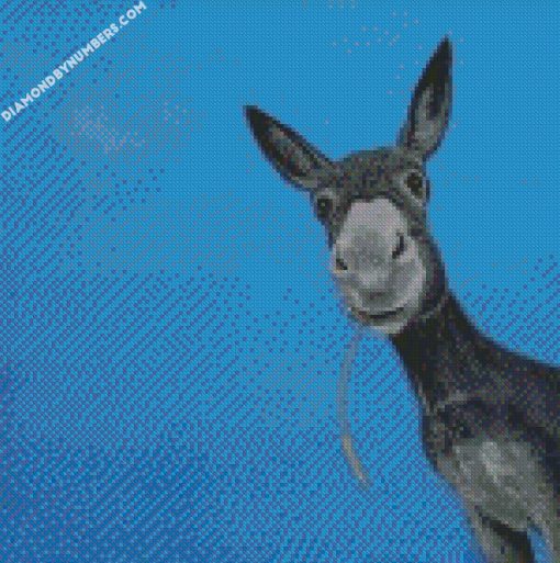 Donkey Portrait diamond painting
