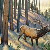 Elk In Woods paint by numbers