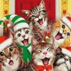 Six Christmas Cats Paint by numbers