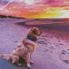 Labrador dog watching sunset diamond painting