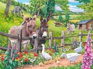 Donkey Goose Farm paint by numbers