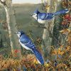 Blue Jay On Flowering Tree Paint by numbers