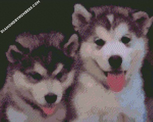 Puppies Of Husky diamond painting