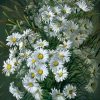 Blooming Daisy Flowers paint by numbers