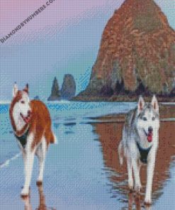Siberian Huskies On Beach diamond painting