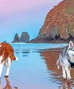 Siberian Huskies On Beach Paint by numbers