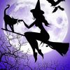 Witch And Cat Silhouette paint by numbers