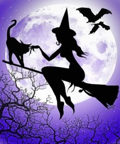 Witch And Cat Silhouette paint by numbers