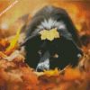 border collie and leaves diamond painting