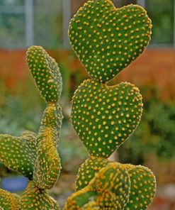 Cactus Heart Shape Paint by numbers