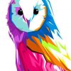 Colorful Pop Art Owl Paint by numbers