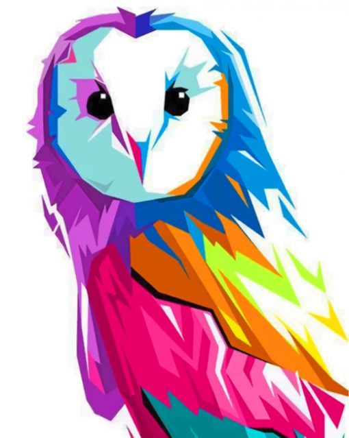 Colorful Pop Art Owl Paint by numbers