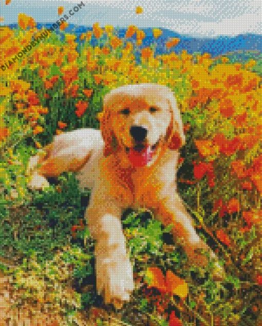 cute golden retriever in flowers field diamond painting