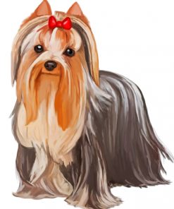 Cute Yorkie Paint by numbers