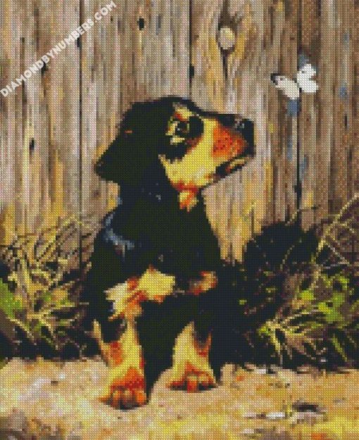 dachshund puppy and butterfly diamond painting
