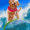 Dog Surfing Paint by numbers