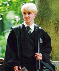 Draco Malfoy From Harry Potter Paint by numbers