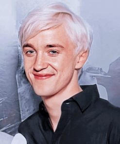 Draco Malfoy Paint by numbers
