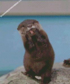 funny Asian small clawed otter diamond paintings