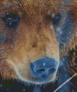 grizzly bear diamond painting