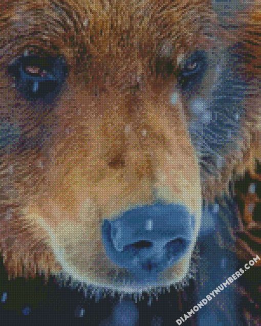 grizzly bear diamond painting