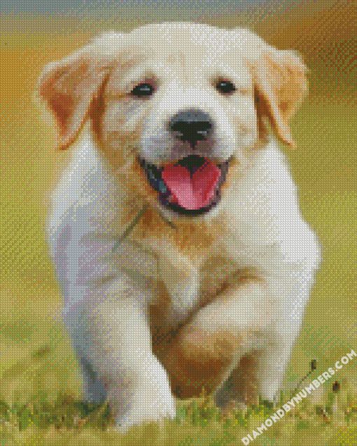 happy golden puppy diamond paintings