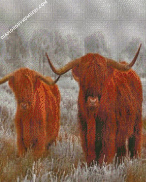 highland cows diamond painting