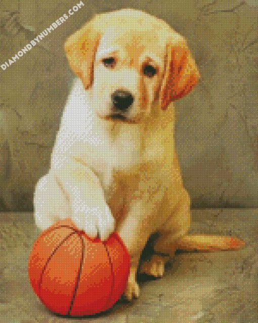 labrador puppy with ball diamond painting