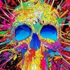 Skull Colorful Art paint by numbers