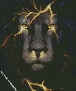 Aesthetic lion head animal Diamond Painting