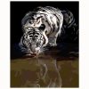 White Tiger Paint by numbers