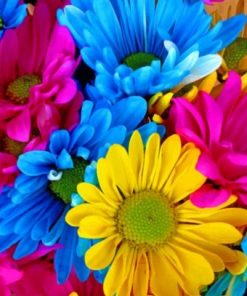 Colorful Daisies Paint by numbers
