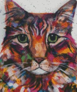 Colorful Tabby Cat diamond paintings