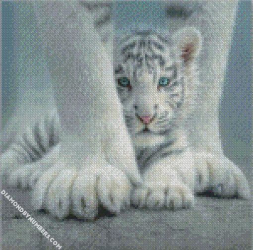 Cute Baby White Tiger diamond paintings