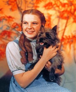 Dorothy Gale Paint by numbers