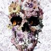 Floral Upland Skull Paint by numbers