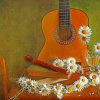 Guitar And Daisies Paint by numbers